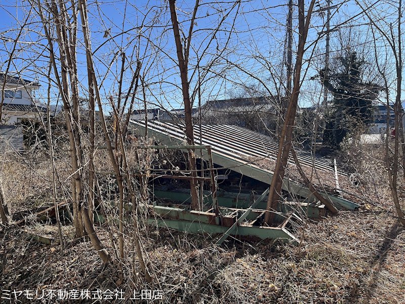 上田市五加　土地 現地写真