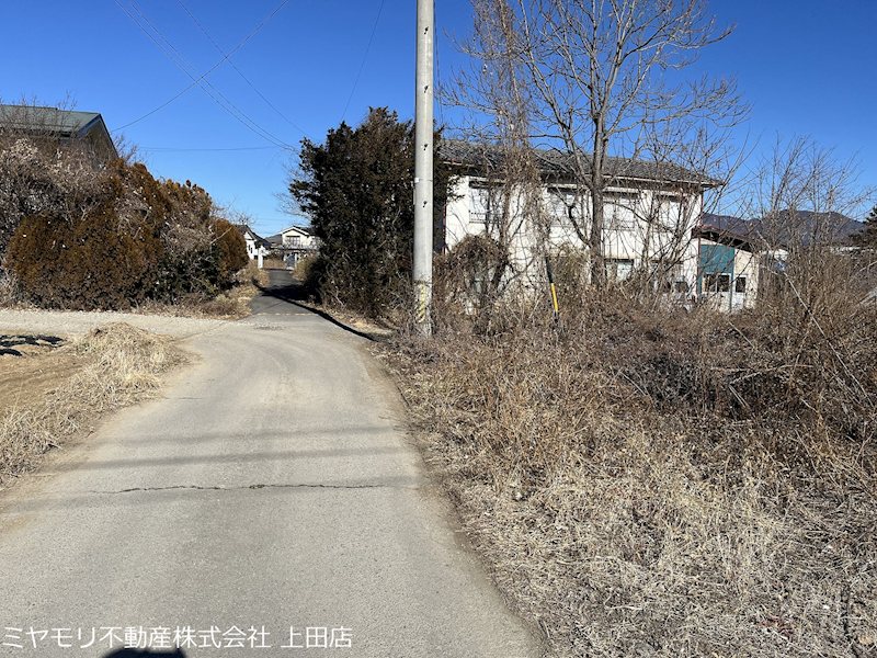 上田市五加　土地 現地写真（前面道路含む現地写真）