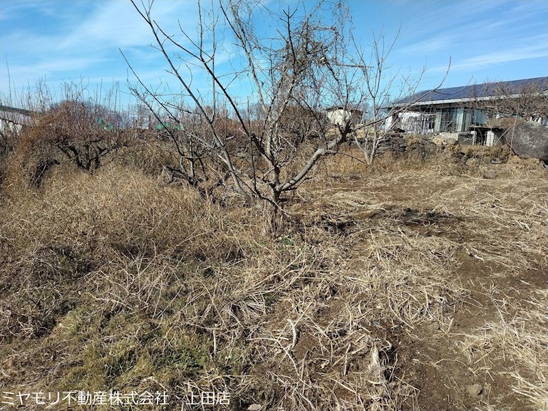 東御市滋野甲　土地 現地写真