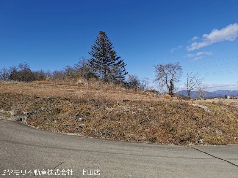 東御市八重原　土地 現地写真