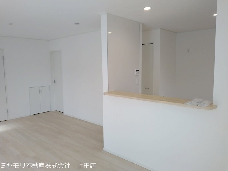 上田市常磐城4丁目　新築戸建 内観写真（リビング）