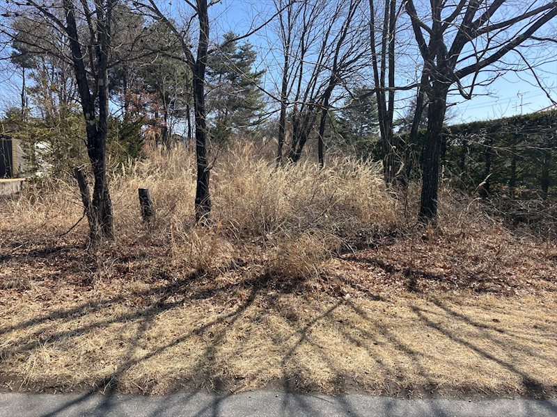 御代田町草越 土地 現地写真