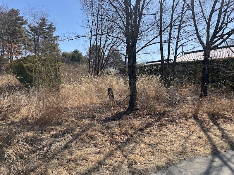 御代田町草越　土地 その他