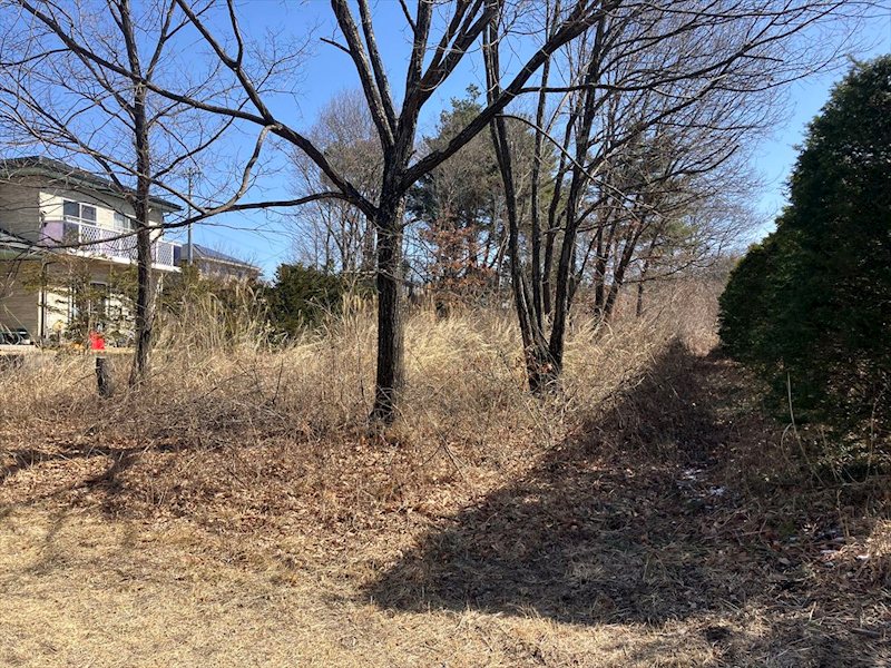 御代田町草越　土地 その他
