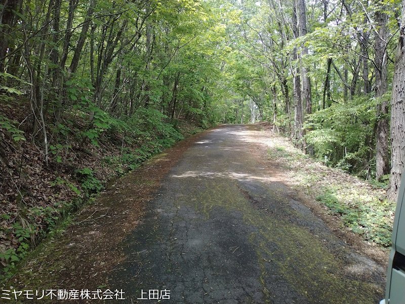 東御市八重原　土地 現地写真（前面道路含む現地写真）