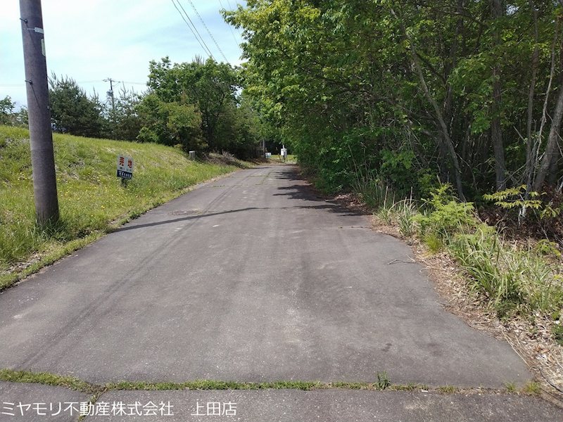 東御市八重原　土地 現地写真（前面道路含む現地写真）