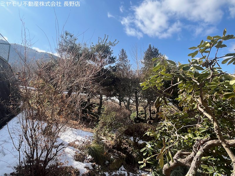 長野県千曲市若宮 現地写真（庭）