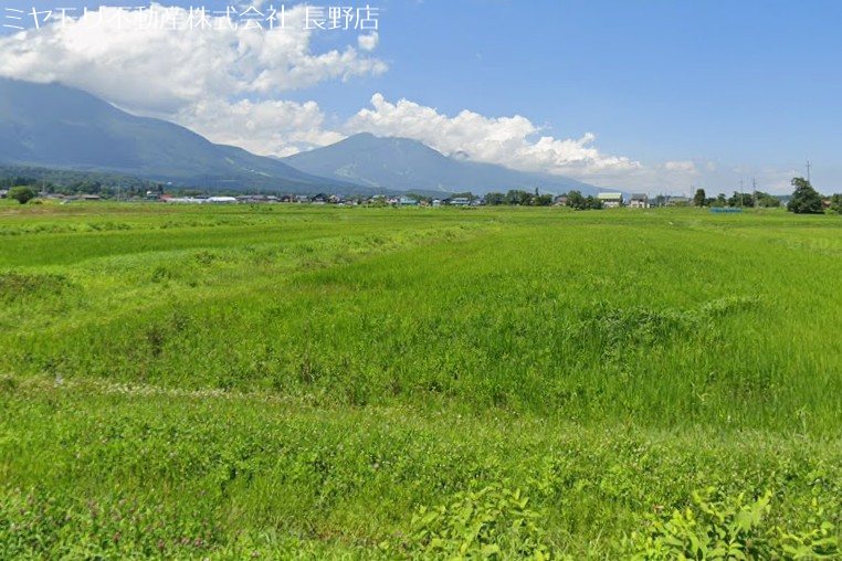 長野県上水内郡信濃町平岡406-1 現地写真