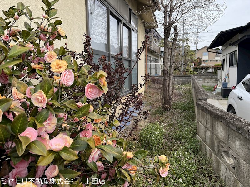 上田市蒼久保　土地 現地写真