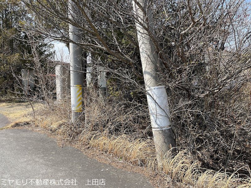上田市林之郷　土地 現地写真