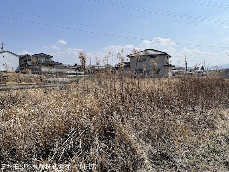 上田市林之郷　土地 現地写真