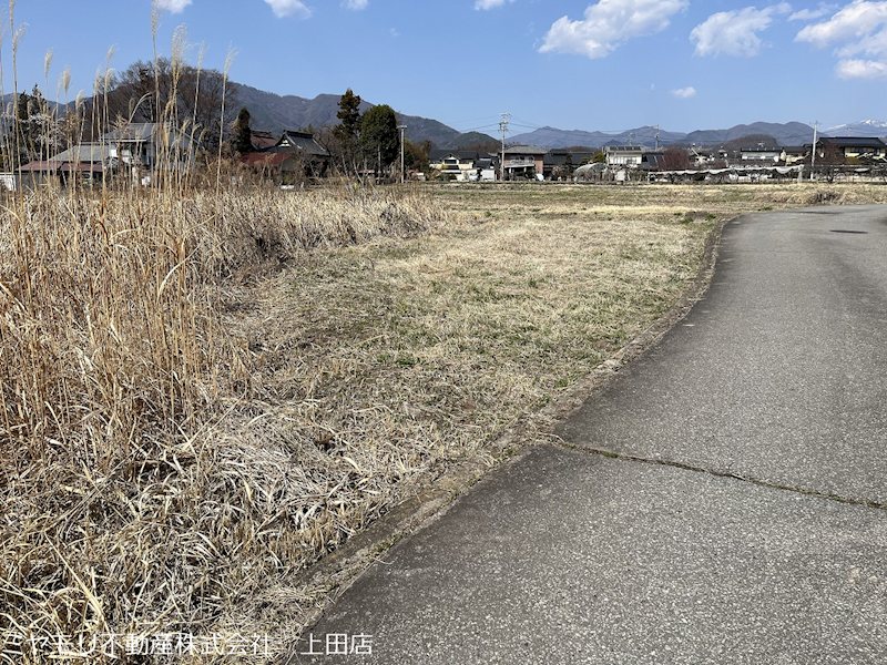 上田市林之郷　土地 現地写真