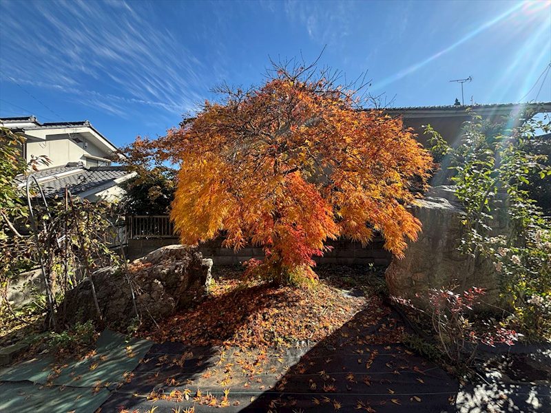 佐久市岩村田　中古戸建 その他