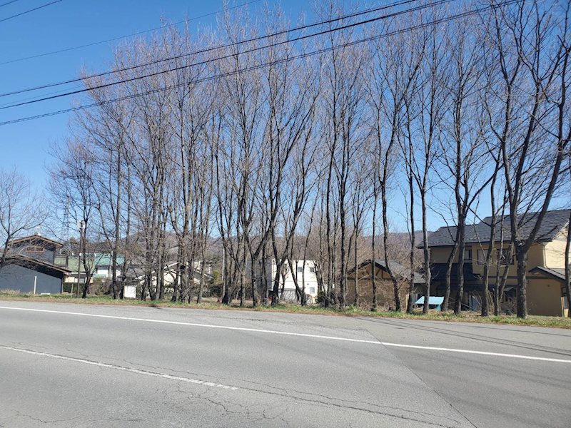 御代田町御代田　土地 その他