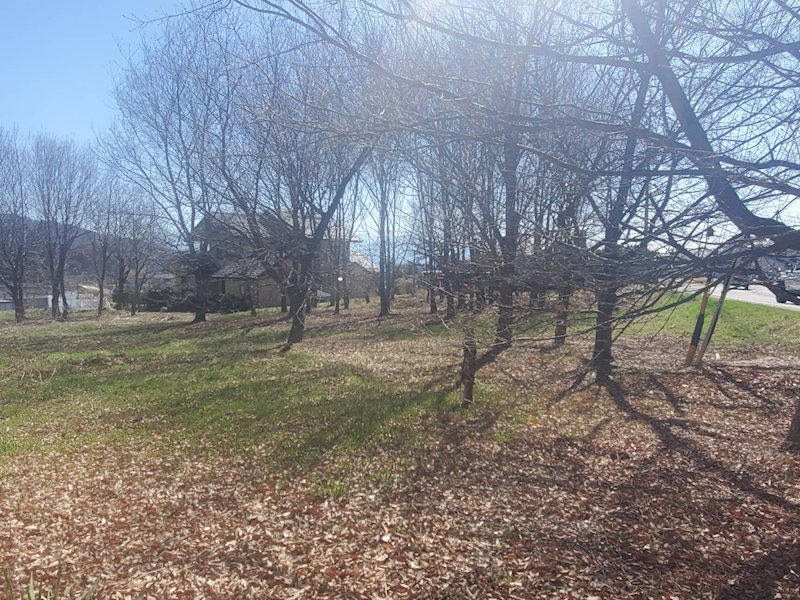 御代田町御代田　土地 その他