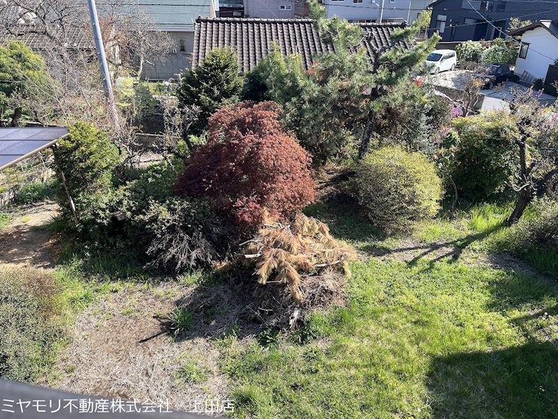 上田市緑が丘1丁目　中古戸建 眺望写真