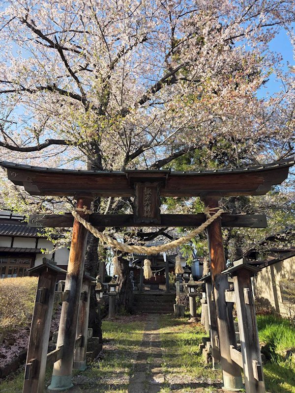 佐久市塚原　中古戸建 その他
