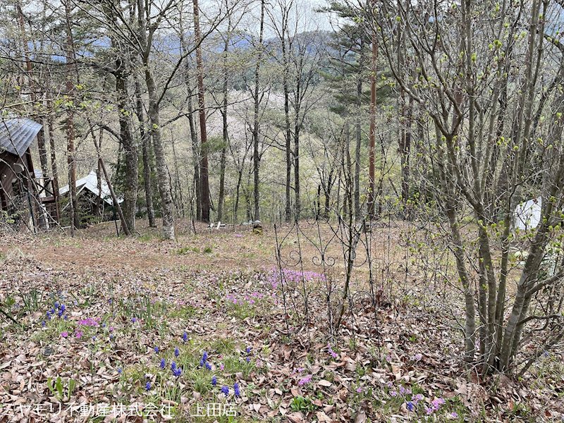 青木村沓掛　中古戸建 現地写真