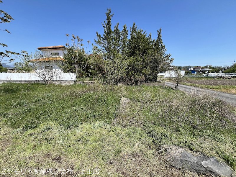 上田市林之郷　土地 現地写真