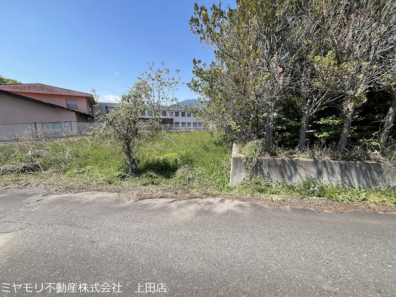 上田市林之郷　土地 現地写真（前面道路含む現地写真）
