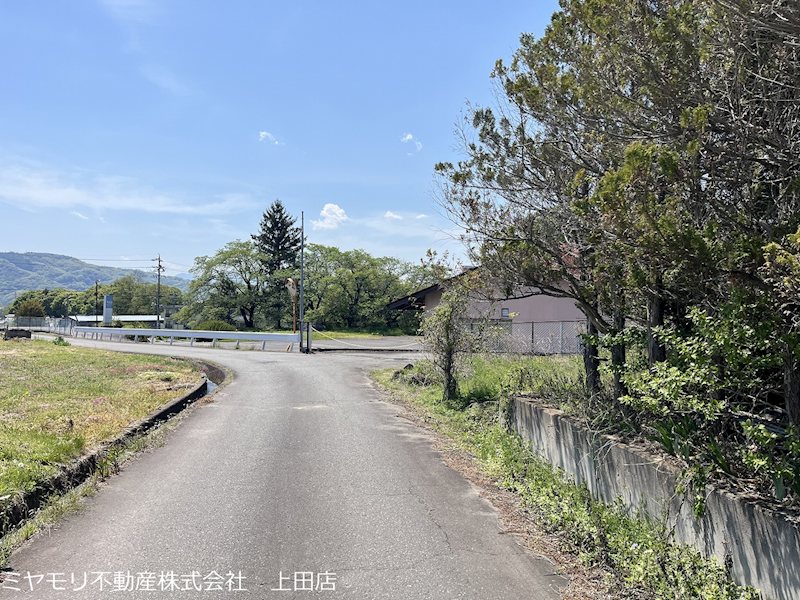 上田市林之郷　土地 現地写真（前面道路含む現地写真）