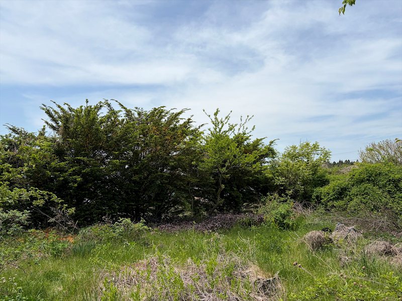 小諸市己　中古戸建 その他
