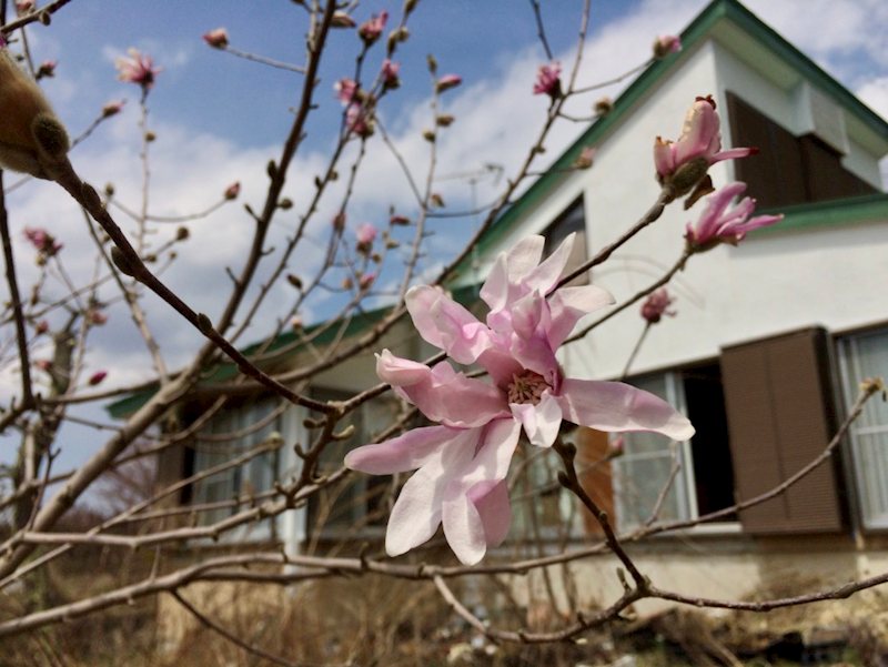 小諸市己　中古戸建 その他