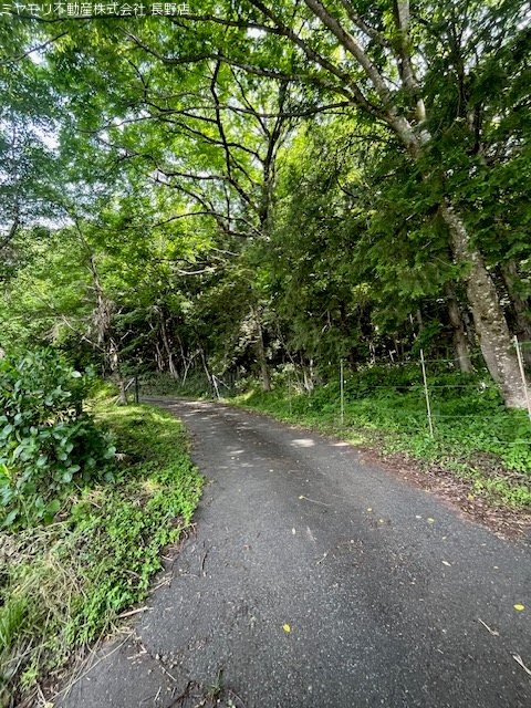 長野県長野市信更町田野口 その他