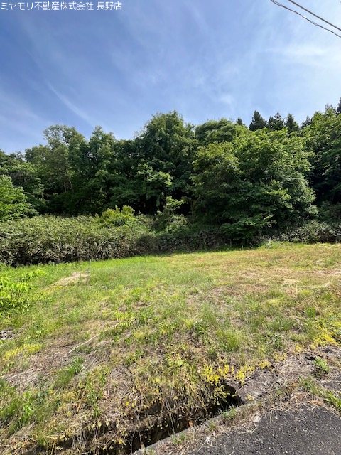 長野県長野市信更町田野口 その他