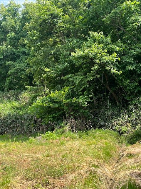 長野県長野市信更町田野口 その他