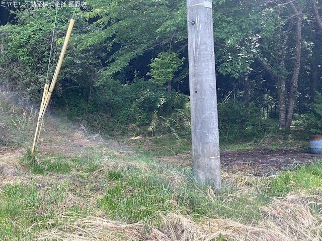 長野県長野市信更町田野口 その他