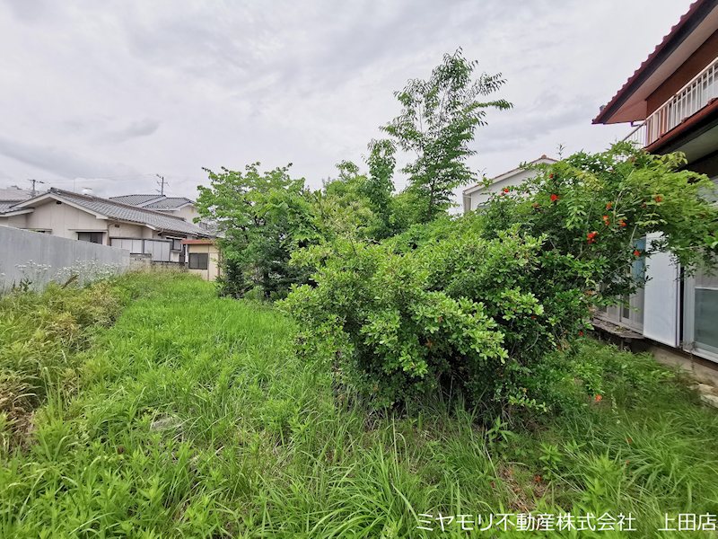上田市上田原　土地 現地写真