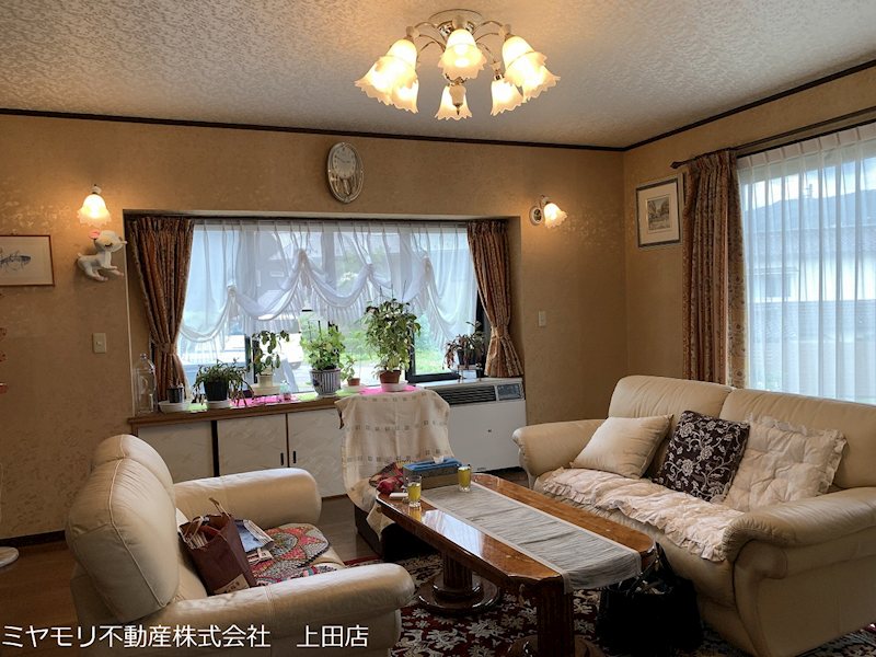 上田市常入　戸建 内観写真（リビング）