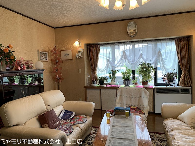 上田市常入　戸建 内観写真（リビング）