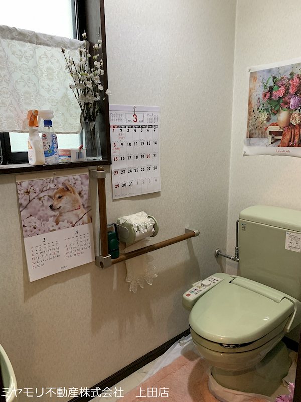 上田市常入　戸建 内観写真（トイレ）