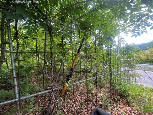 長野県上田市生田 現地写真