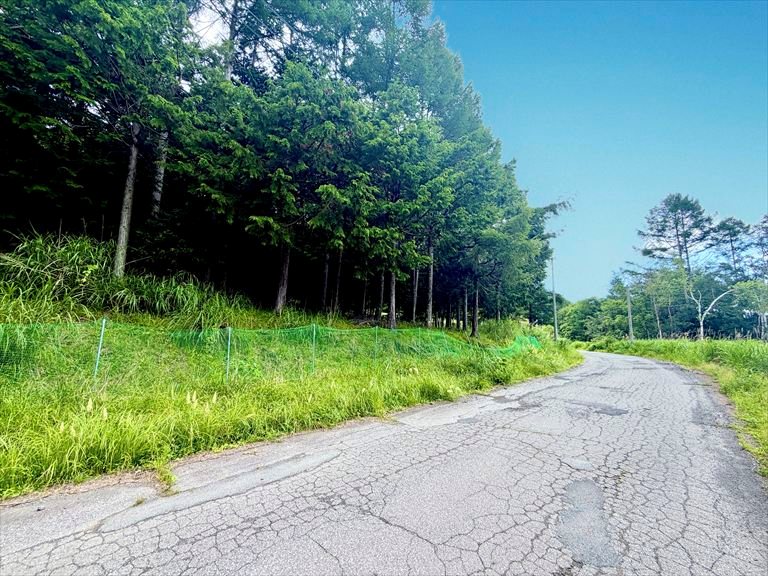 佐久市協和 土地 現地写真