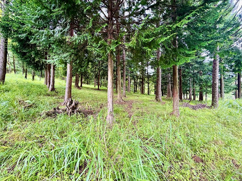 佐久市協和　土地 その他