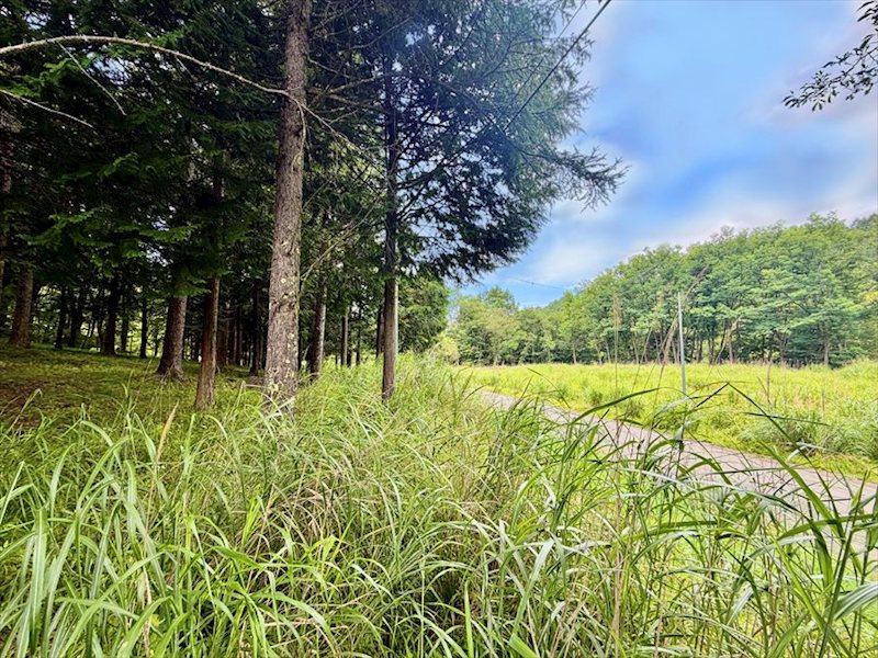 佐久市協和　土地 その他