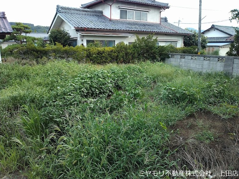上田市塩川　中古戸建 現地写真（庭）