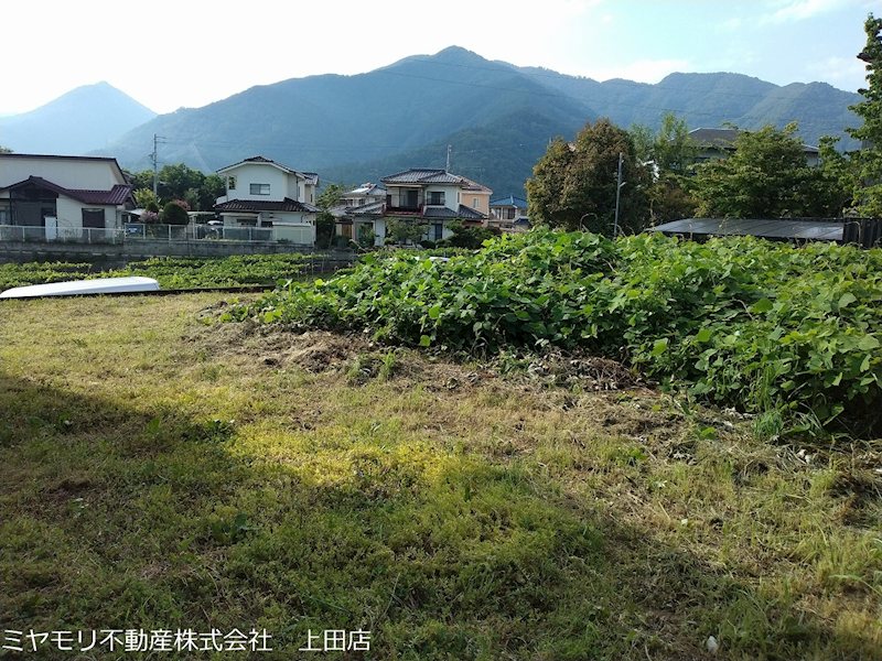 上田市住吉　土地 現地写真