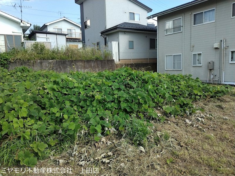 上田市住吉　土地 現地写真