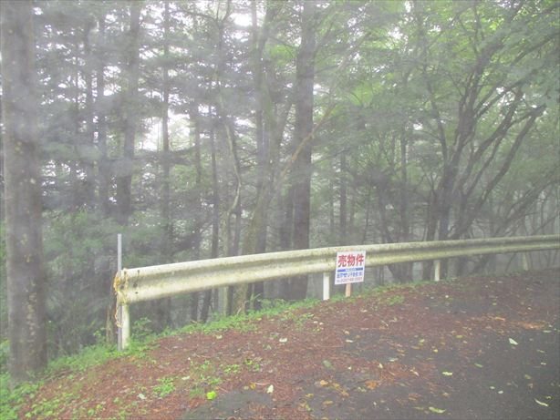 佐久市内山 土地 現地写真