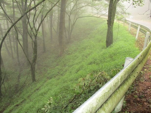 佐久市内山　土地 その他