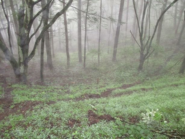 佐久市内山　土地 その他