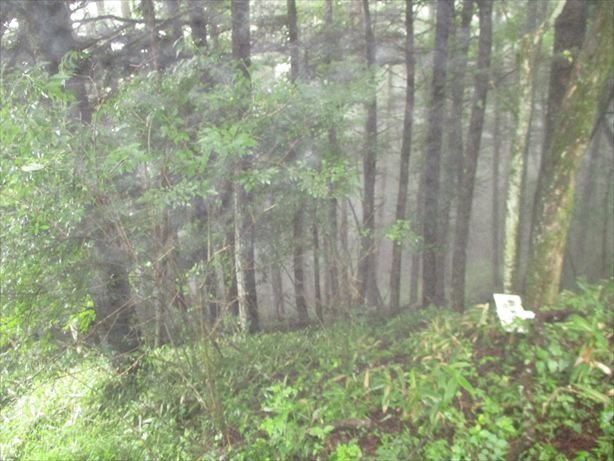 佐久市内山　土地 その他