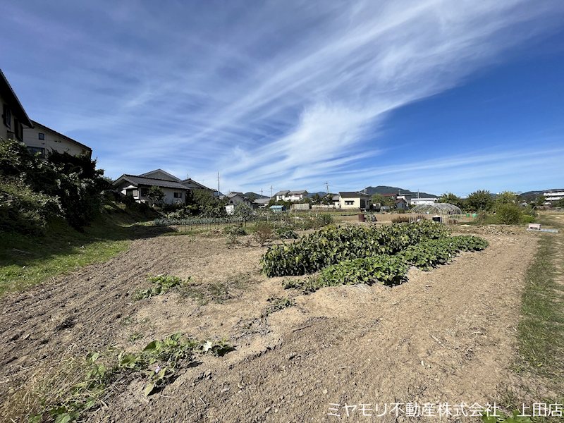 上田市五加 土地 現地写真