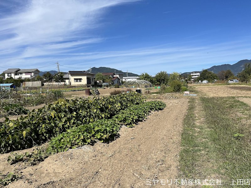 上田市五加　土地 現地写真