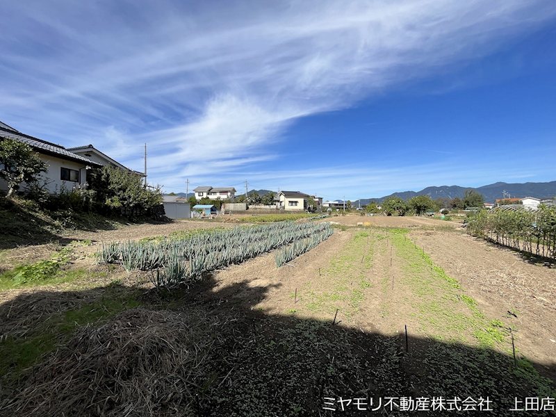 上田市五加　土地 現地写真