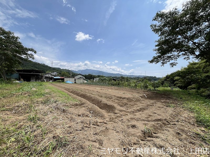 上田市住吉　土地 現地写真